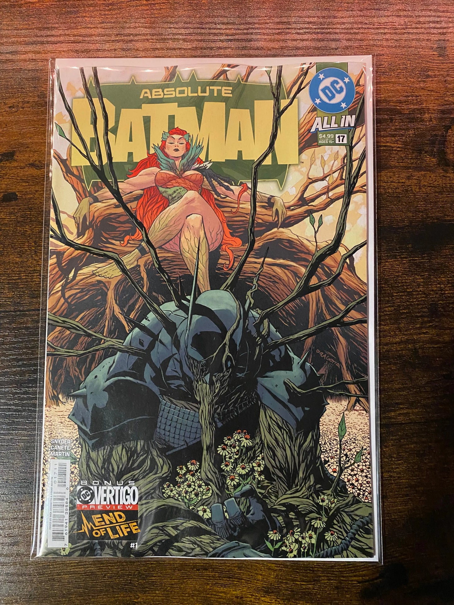 ABSOLUTE BATMAN #17 CVR A NICK DRAGOTTA Amos Comics